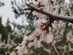 -古塔公园