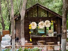 -长白岛森林公园