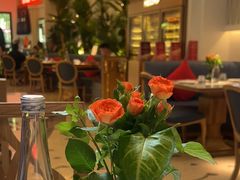 -Mezomd曼索蒂西班牙餐厅(广粤店)