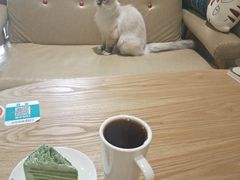 -藏猫猫咖啡主题馆(中央大道店)