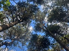 -松花湖风景名胜区