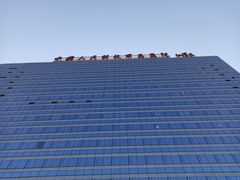 门急诊-中国人民解放军总医院(301医院)