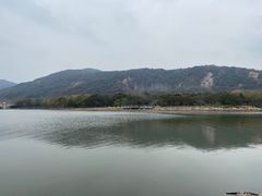 -长广溪湿地公园