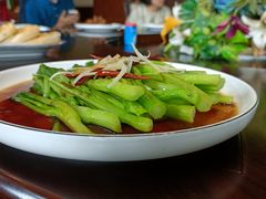 -鸭味飞飞