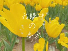 -院士公园