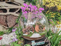 -上海辰山植物园