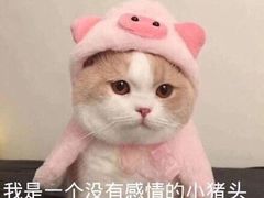 -万县面馆(高笋塘店)