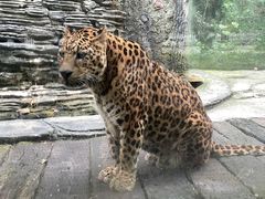 -贵州森林野生动物园
