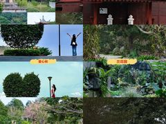 -东莞植物园