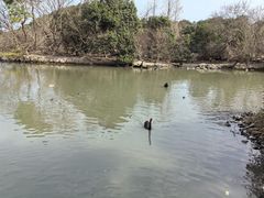 -宁波野生动物园