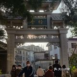 这辈子没吃过这么好吃的双皮奶