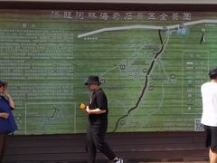 -汤旺河林海奇石景区