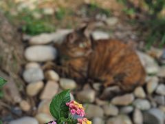 -苏州河梦清园环保主题公园