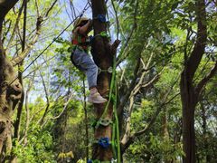 -宾果蒙特梭利托育儿童之家幼儿园(爱琴海店)