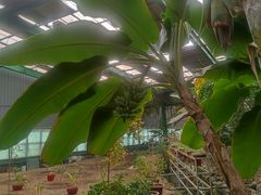 -第五季龙水凤港生态露营农场