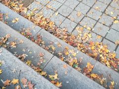 -山东师范大学(千佛山校区)