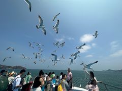 -海驴岛(荣成市)