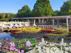 -石家庄市植物园
