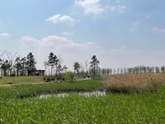 -鹦鹉洲湿地公园