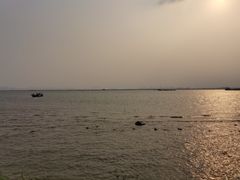 -芒洲湿地公园