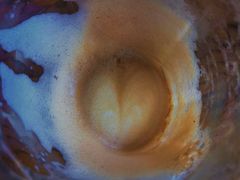 -索纳斯咖啡(海安路店)