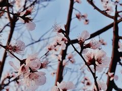 -三里河公园