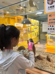点击看大图 -神奇动物撸宠馆·羊驼·小浣熊·异宠(豫园店)