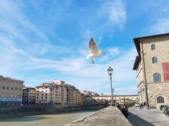 -米开朗琪罗广场