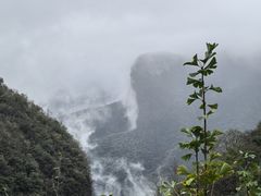 -鹿院坪生态旅游景区