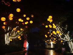 -国色天乡三期陆地乐园