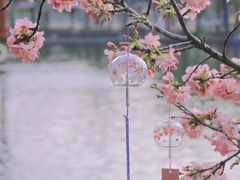 -宝墨园景区