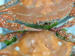 -威海渔村(黄兴路店)