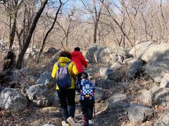 -阳台山自然风景区
