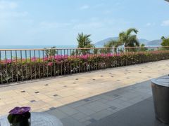 -日落吧·海景咖啡厅·餐酒吧·鸡尾酒·下午茶·乐队表演·浪漫夕阳·三亚文华东方酒店