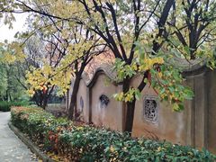 -开福禅寺