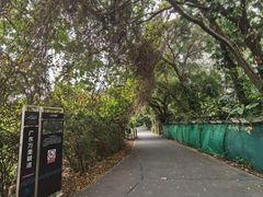 -华侨城湿地公园