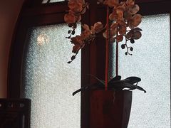 -静园(和平区)