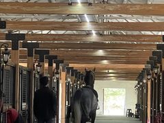 -北京群众马术培训基地