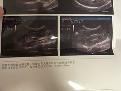-李小姐の猫咖啡馆(五角场店)