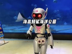 -烟台海昌鲸鲨海洋公园