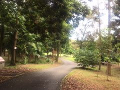 -南宁良凤江国家森林公园