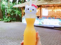 餐饮设施-呀诺达热带雨林