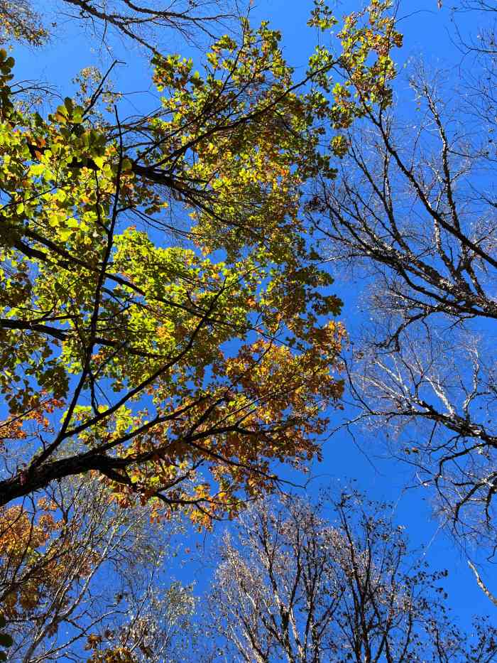 喇叭沟原始森林公园-"沟门北京北极,和朋友相约一起去爬山,由于.