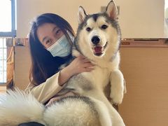 -Husky Go! 哈士奇体验馆·宠物咖啡厅狗咖