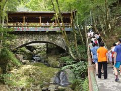 -藏龙百瀑风景区