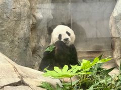 -香港海洋公园