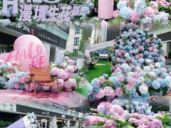 -HALO广场(梨园路店)