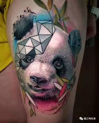 点击看大图 -龙之吻专业刺青·手工耳洞·纹身去色
