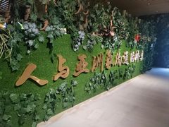 -野象谷景区