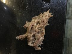 -象山村腊排骨(丽江总店)